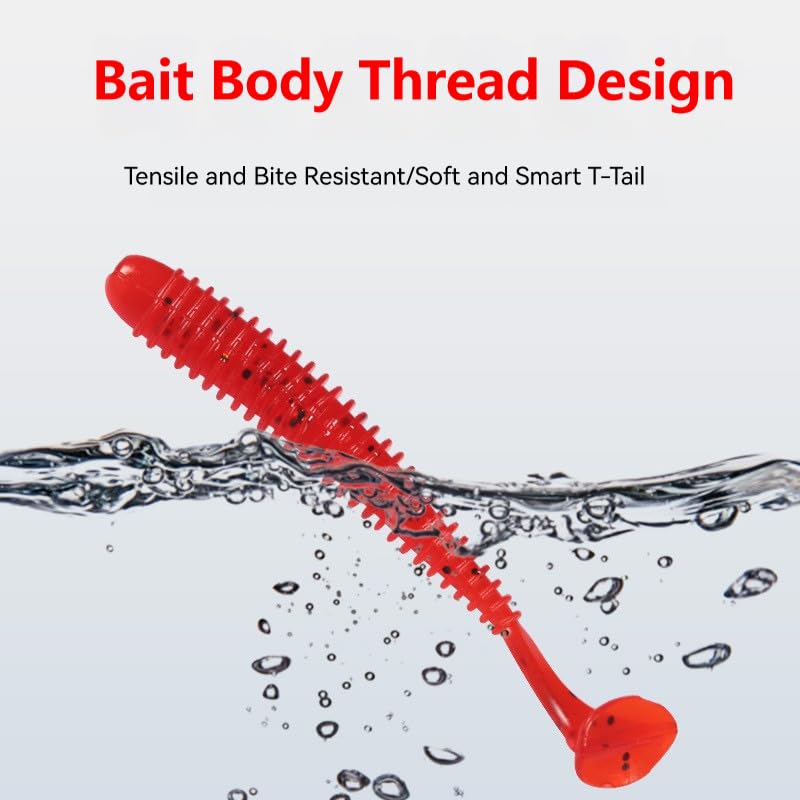 Lures arranged in portable tackle box for bass, trout, and salmon fishing