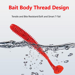 Lures arranged in portable tackle box for bass, trout, and salmon fishing