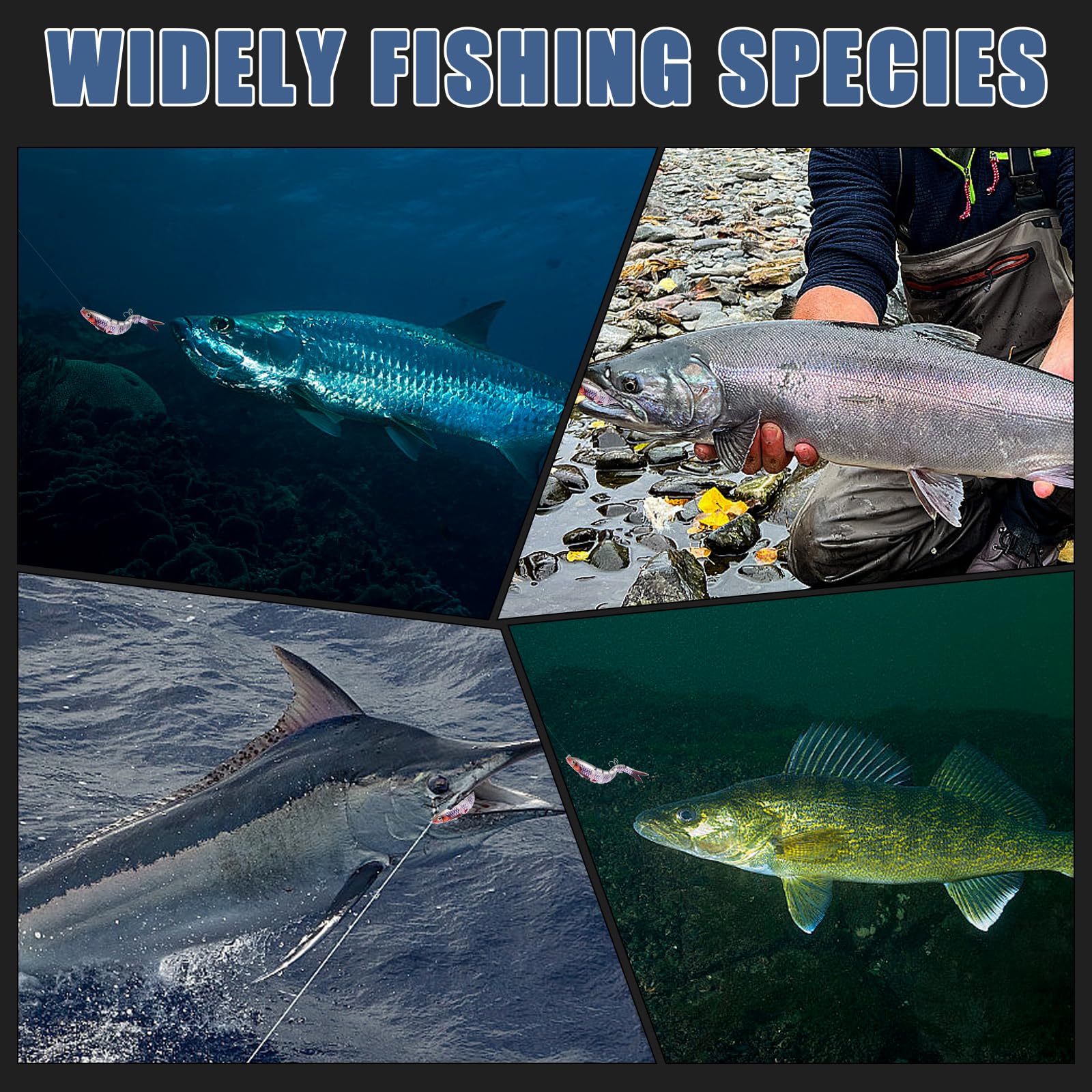 Versatile fishing lure targeting bass, perch, walleye, pike and more