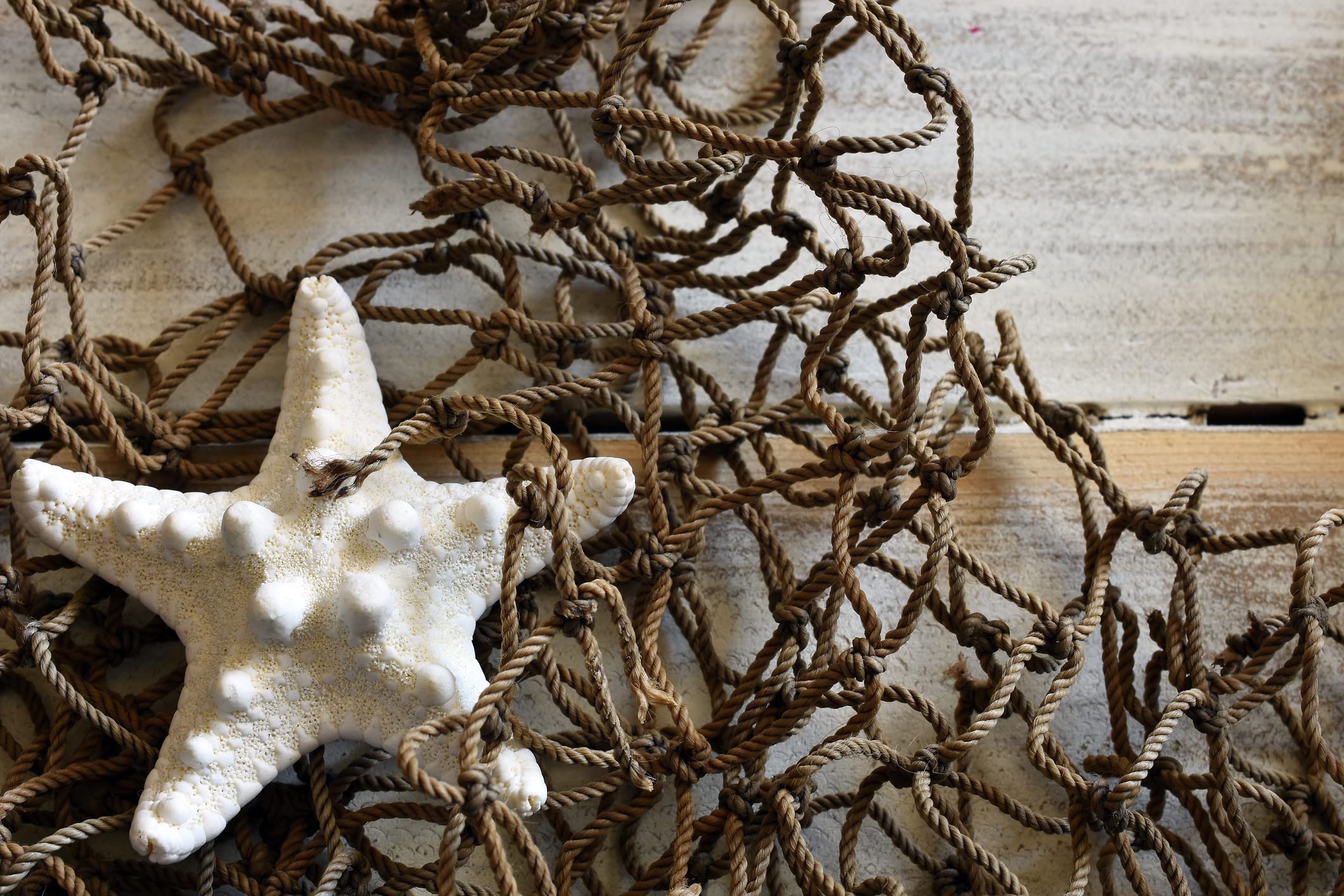 Indoor outdoor coastal home decor with fishing net