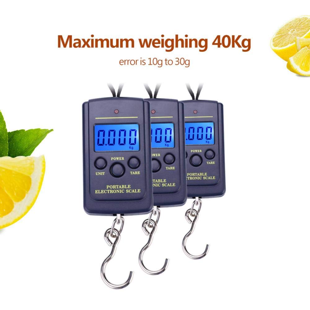 Palm-sized portable fishing scale
