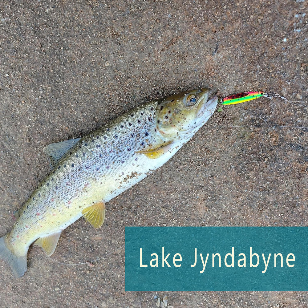Brass body spoon lure with reflective high-gloss finish