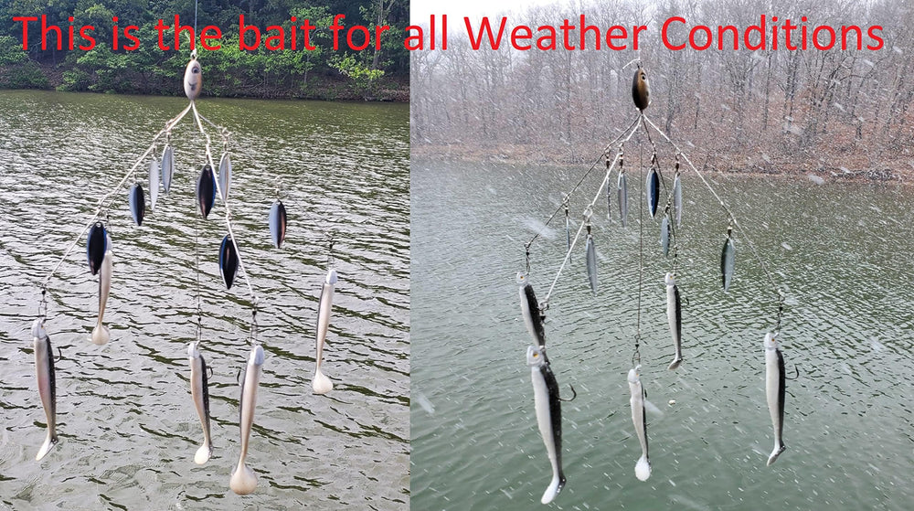 Fully rigged umbrella rig setup showing arms, blades and baits