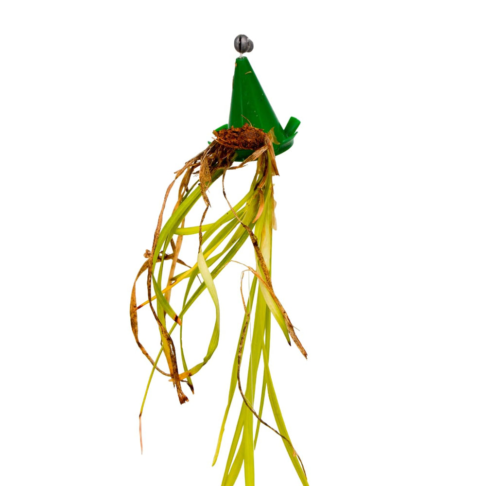 Fishing Weed Blocker guard setup enables quick weed-free bait prep.