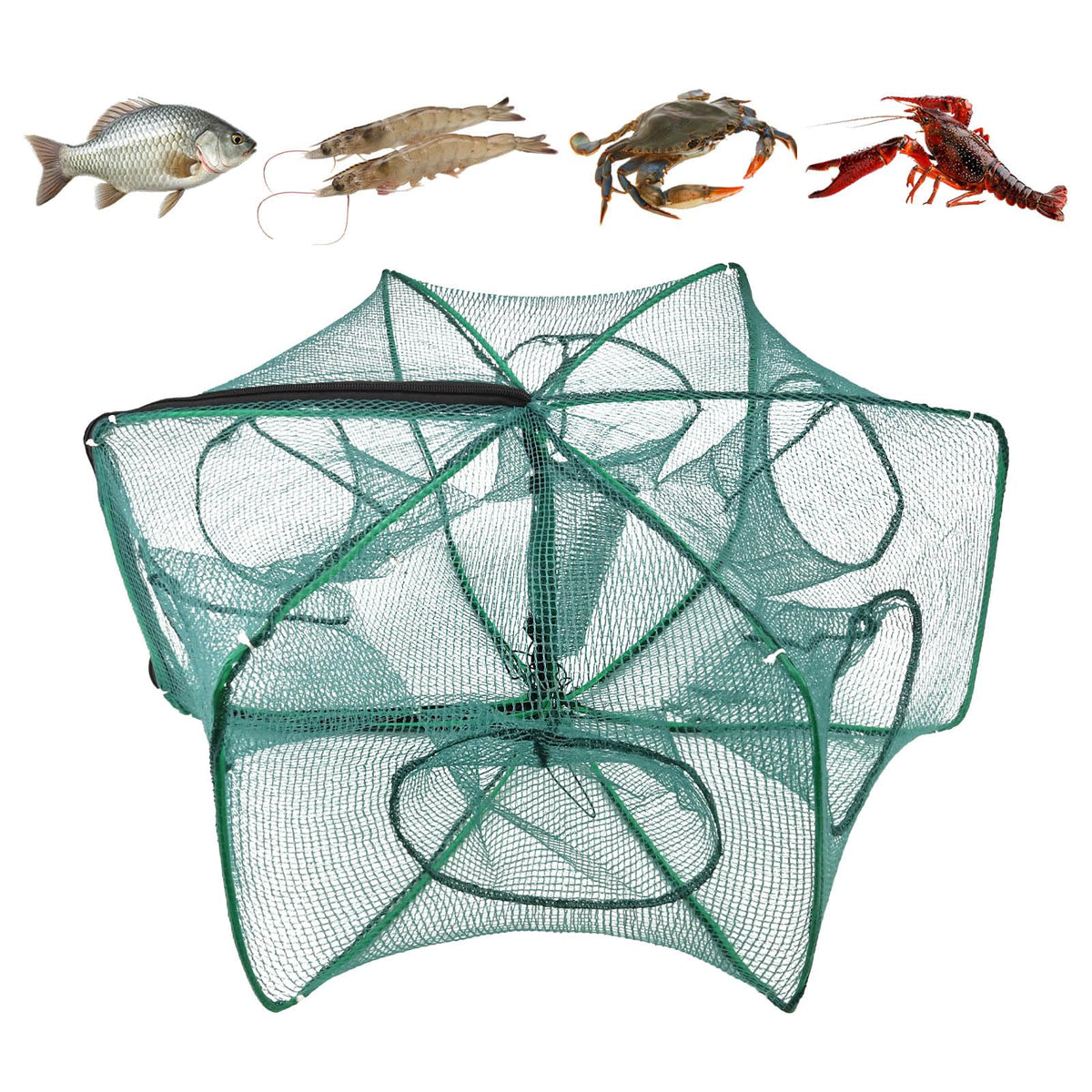 Green foldable fishing trap 24.4 x 9.8 inches, front view