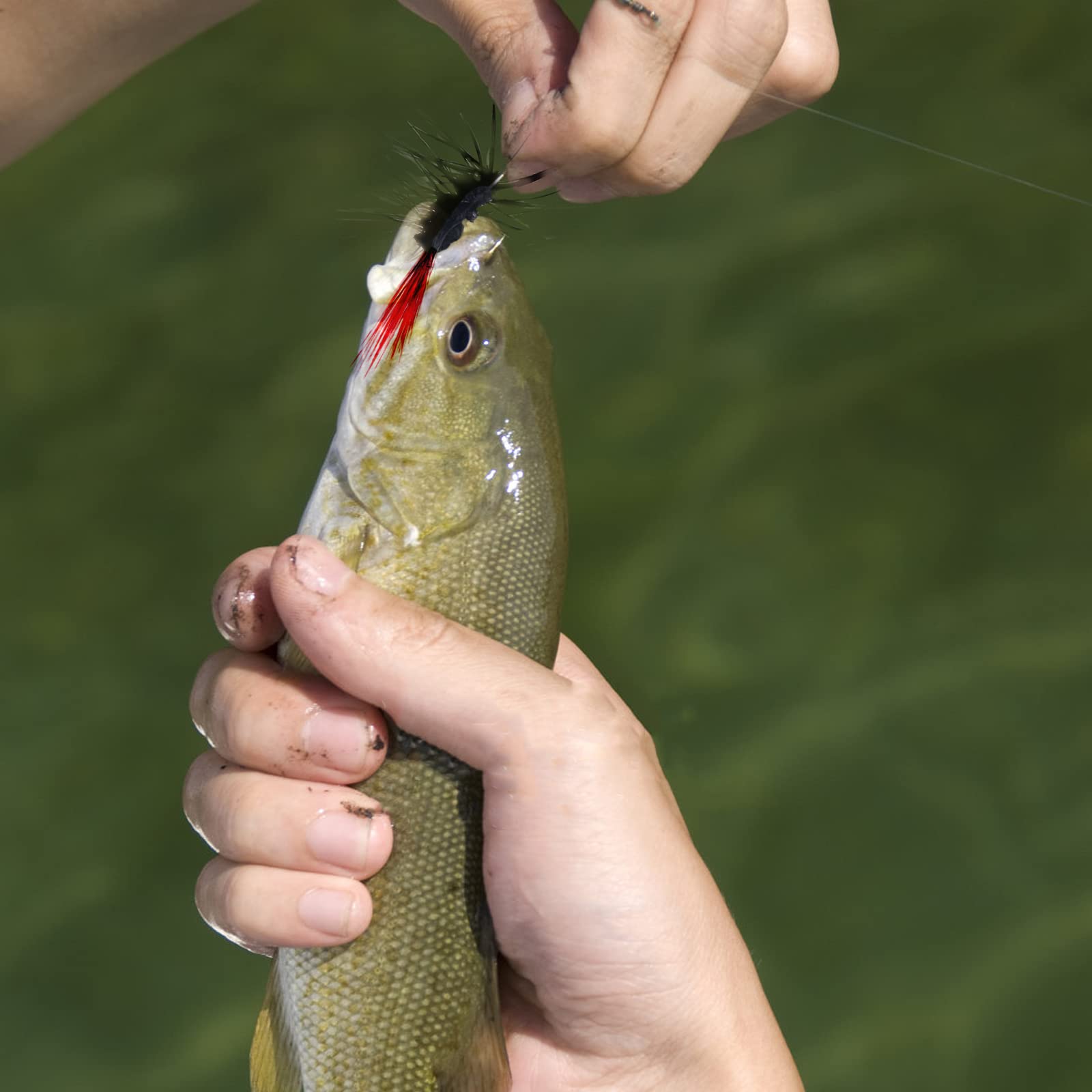 Complete FishingPepo 20pcs dry fly kit visual