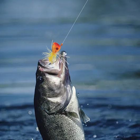 Topwater lures for bass, panfish, bluegill, trout and salmon