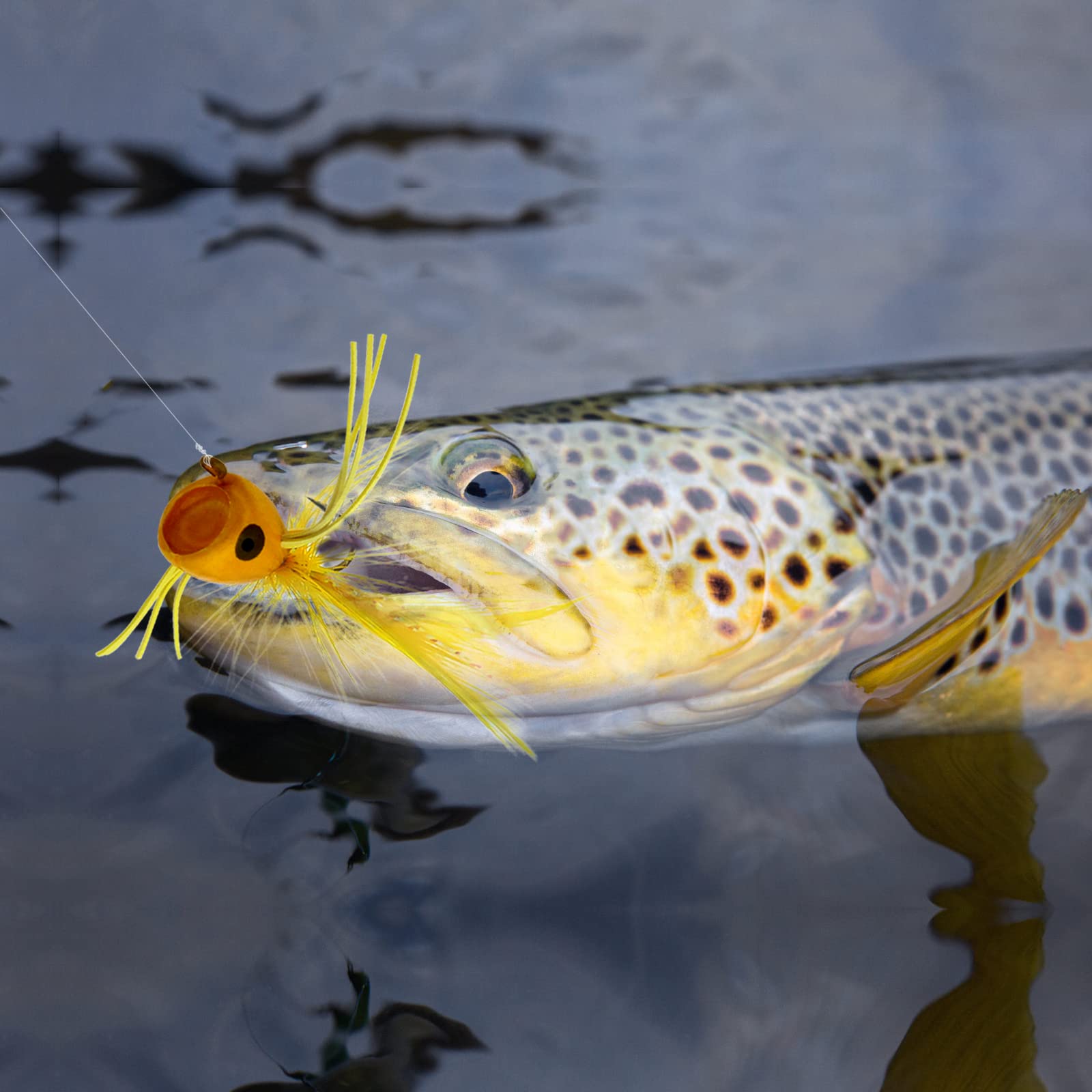 Close-up of panfish bass salmon trout popper flies