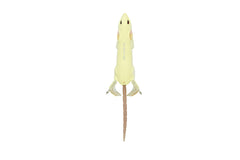 FishLab BBZ Bio-Rat 7in top view highlights splash and gurgle draw.