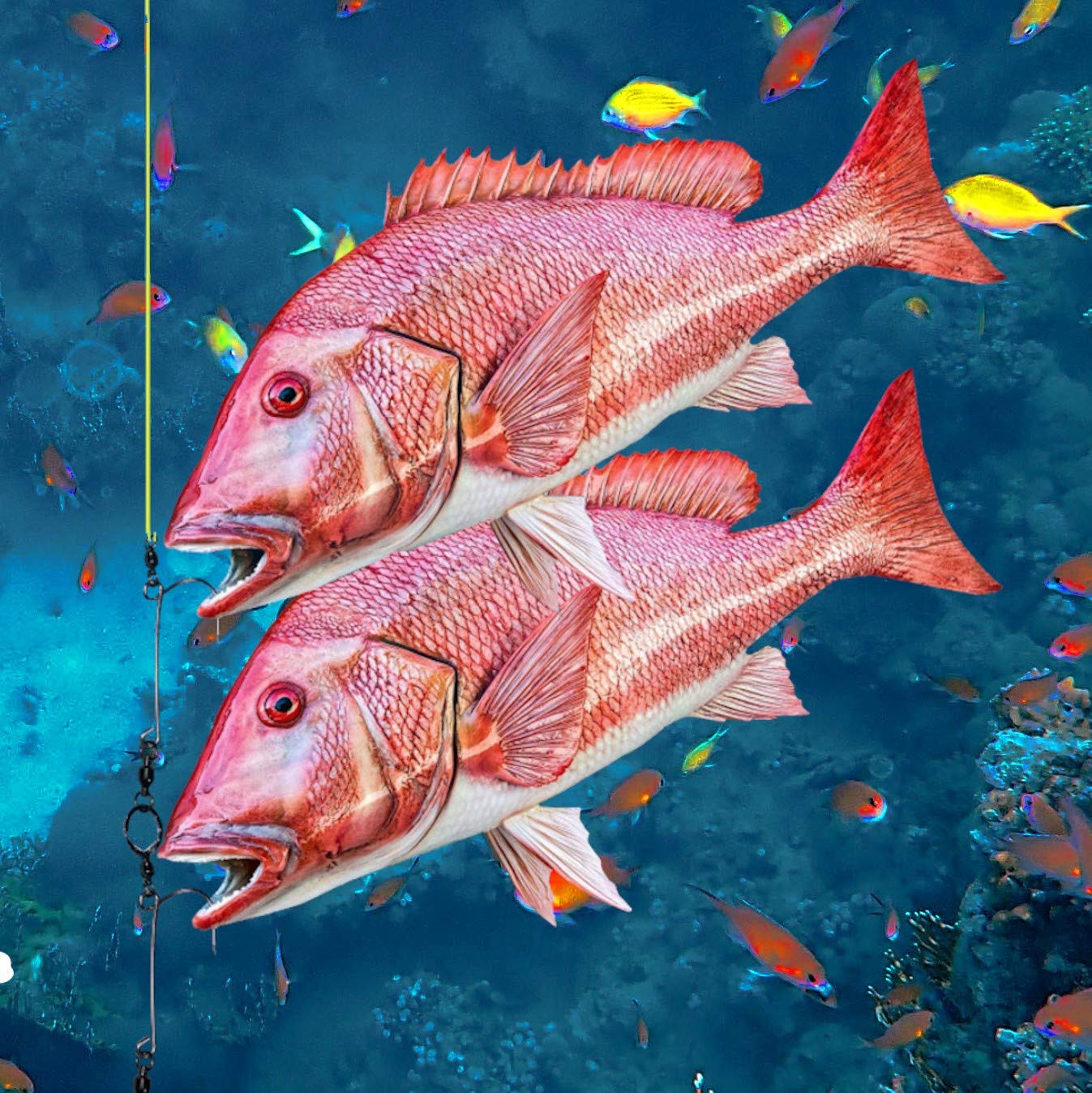 Compact, safe and simple Fishsaverpro design