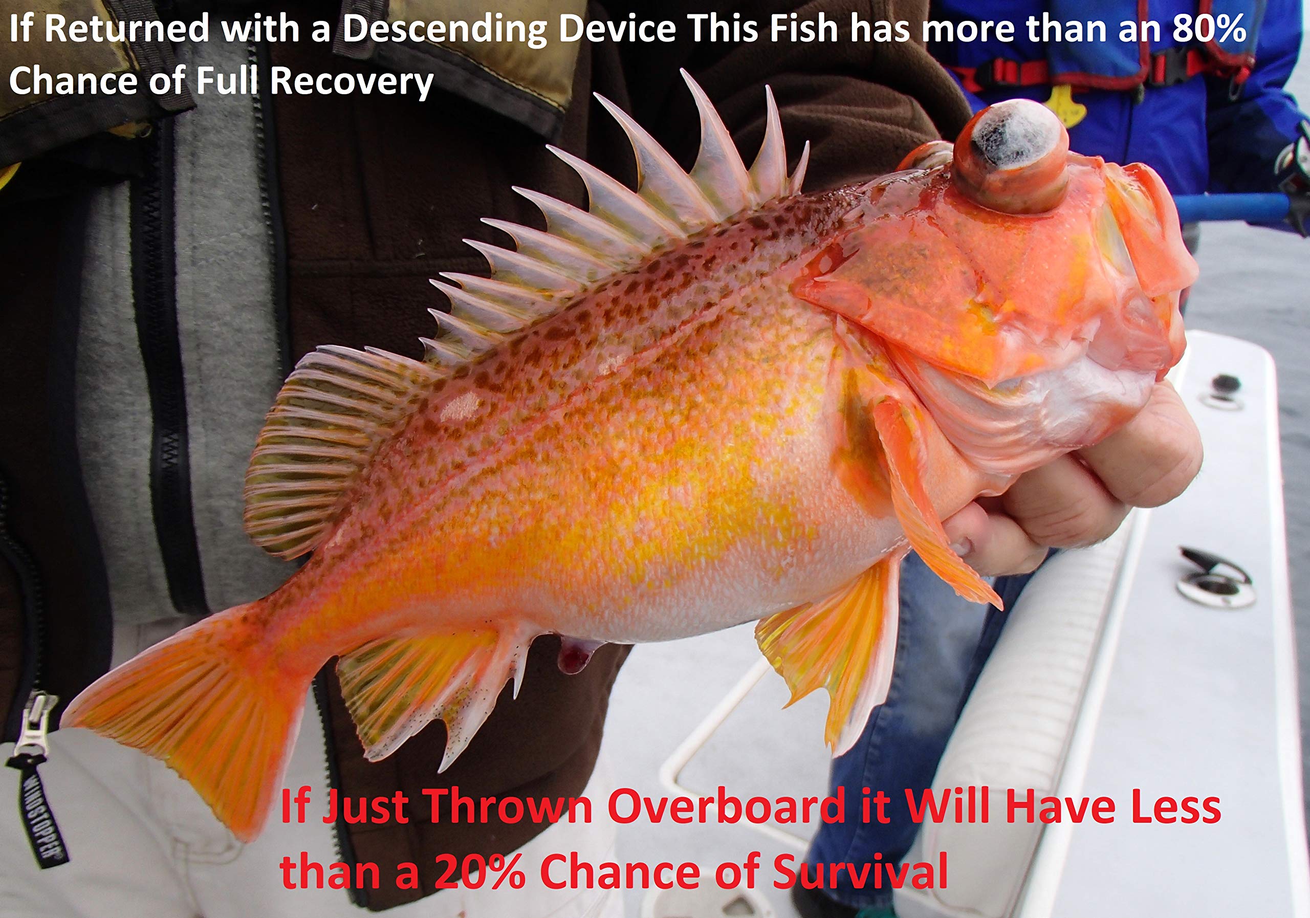 Gift-ready Fishsaverpro packaging