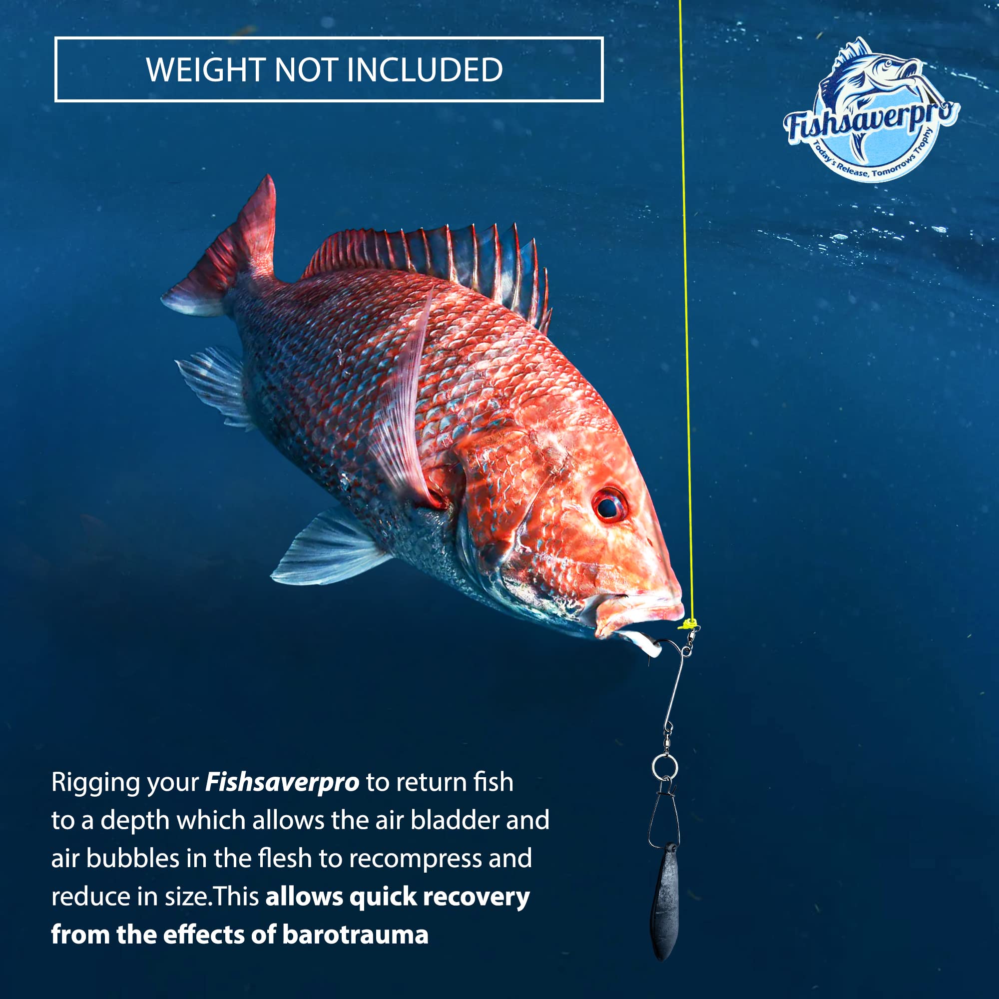 Close-up of Fishsaverpro hero tin packaging