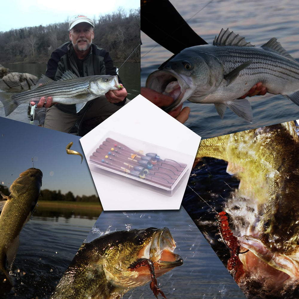 Five-piece FishTrip Texas rig kit in packaging