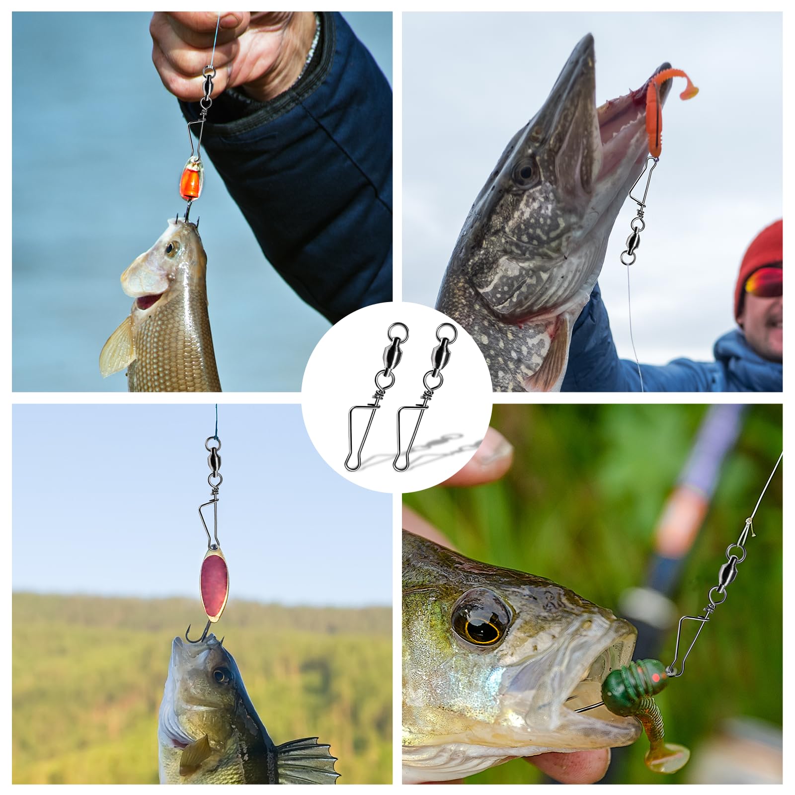 FishTrip versatile applications support crankbaits, swimbaits, and jigs for diverse setups.
