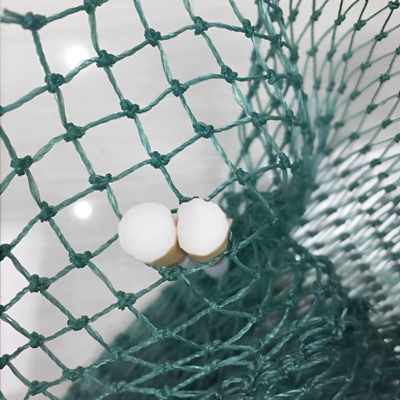 Close-up of 1 cm mesh size
