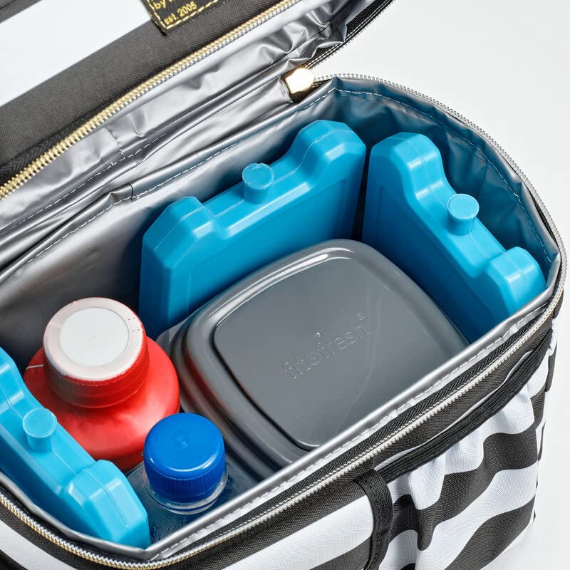 Fit & Fresh reusable ice blocks stay cold longer