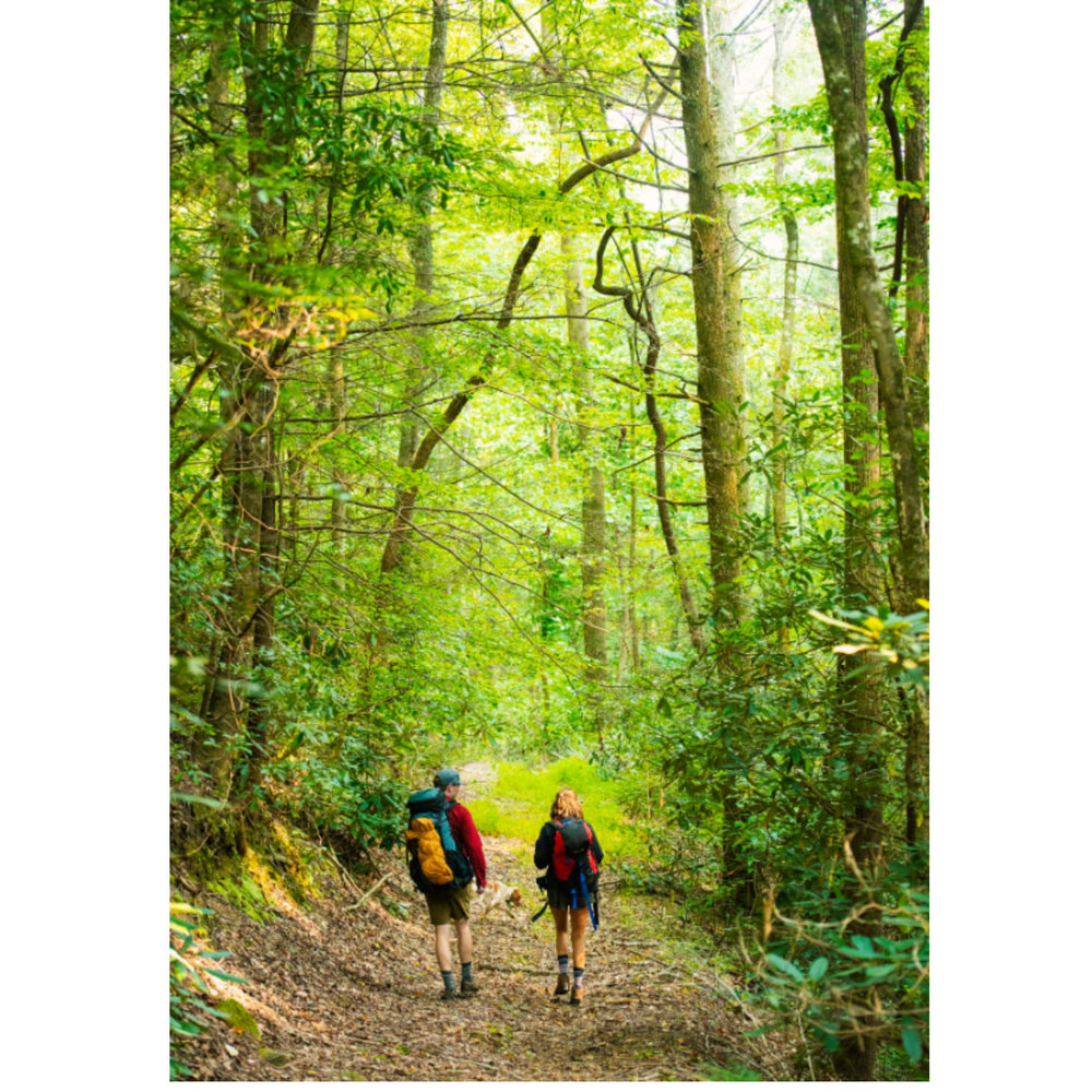 FITS Light Hiker arch cushion supports midfoot comfort on all-day treks.