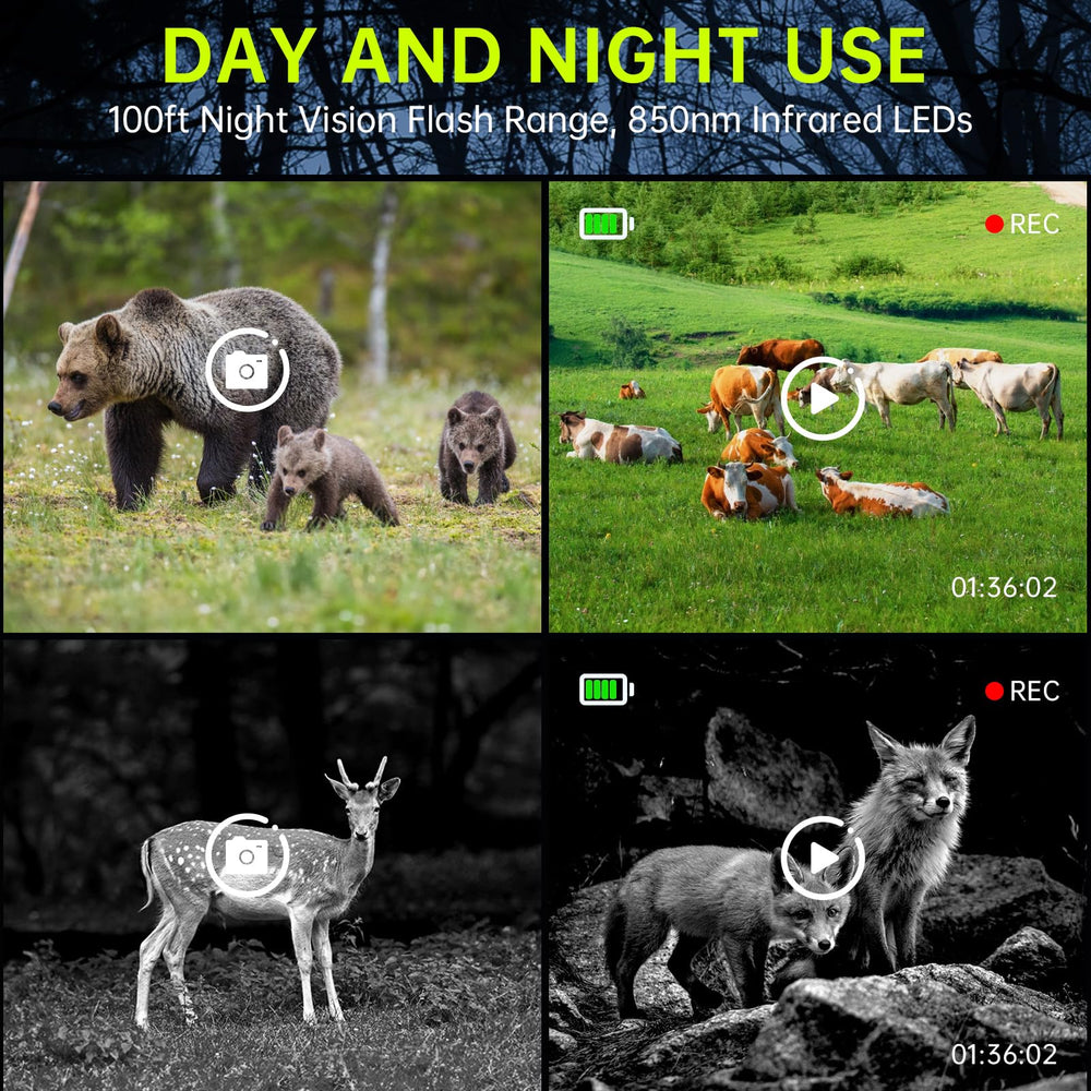FKPCAM WiFi app control allows quick preview and instant downloads.