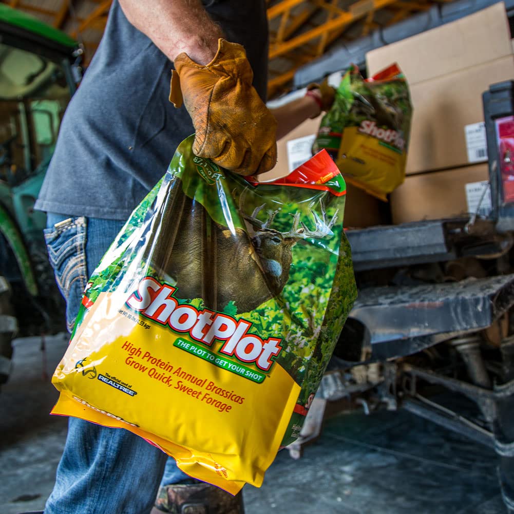 Flagline ShotPlot 24-inch tall growth supports high-yield forage.