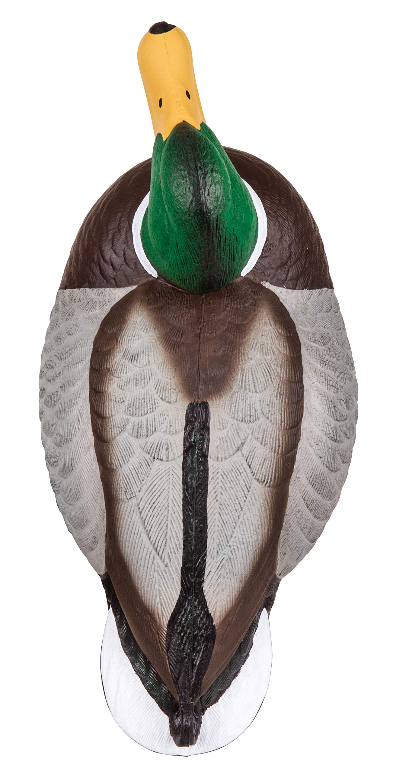 Flambeau Masters Series hen head close-up decoy emphasizes detailed paint for realism.