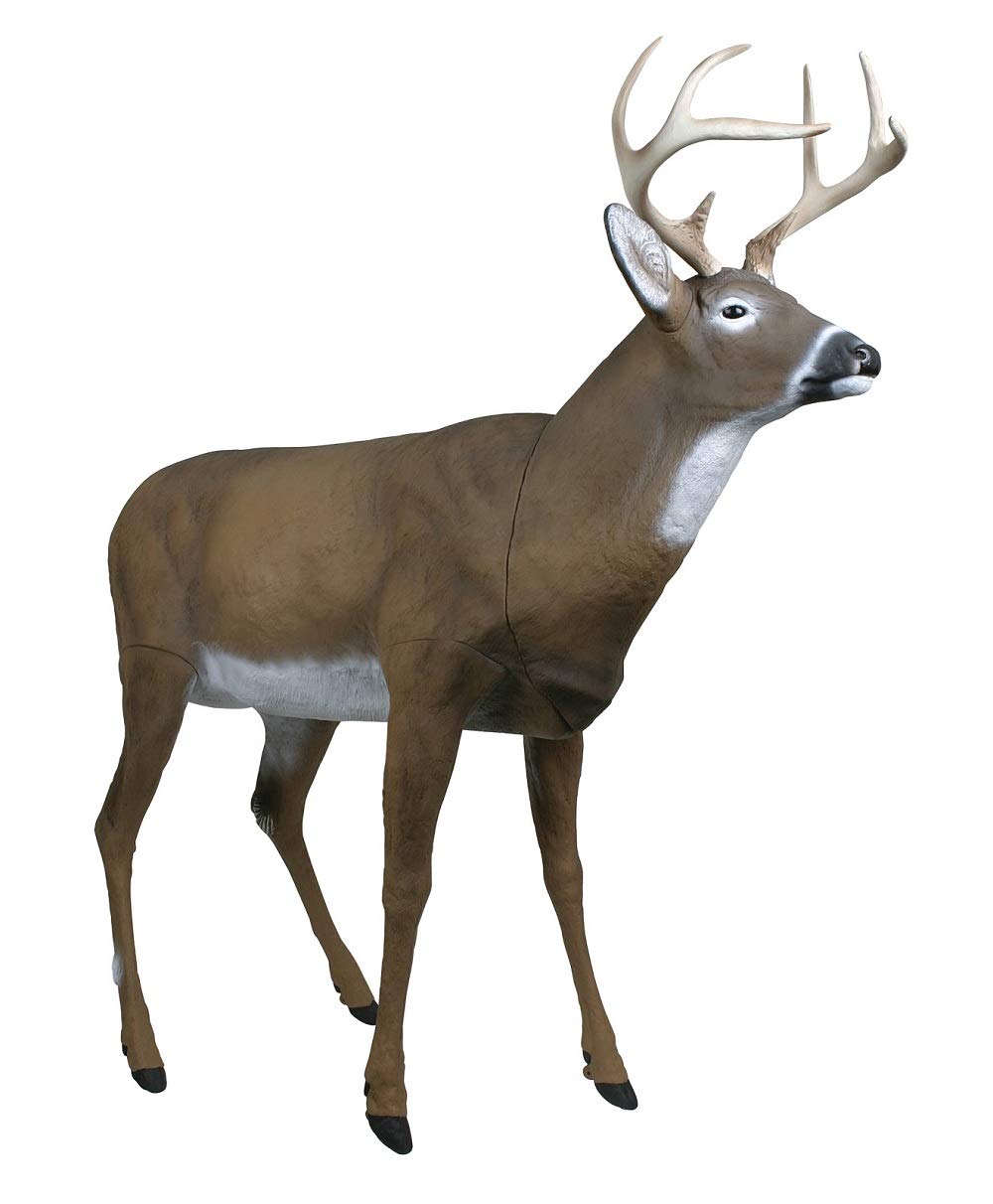 Flambeau Boss Buck decoy showing 60 inch nose-to-tail for field realism.