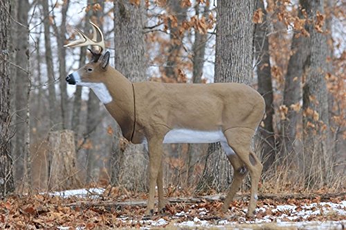 Ultra realistic decoy from Flambeau Boss Buck Masters Series.