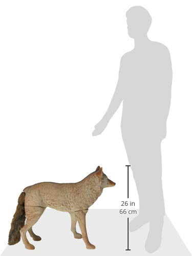 Flambeau Lone Howler Coyote Decoy dimensions 30x9x25 inch aid setup.