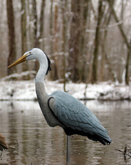 Flambeau Outdoors 5960CD decoy showcases realistic high-definition paint for lifelike attraction