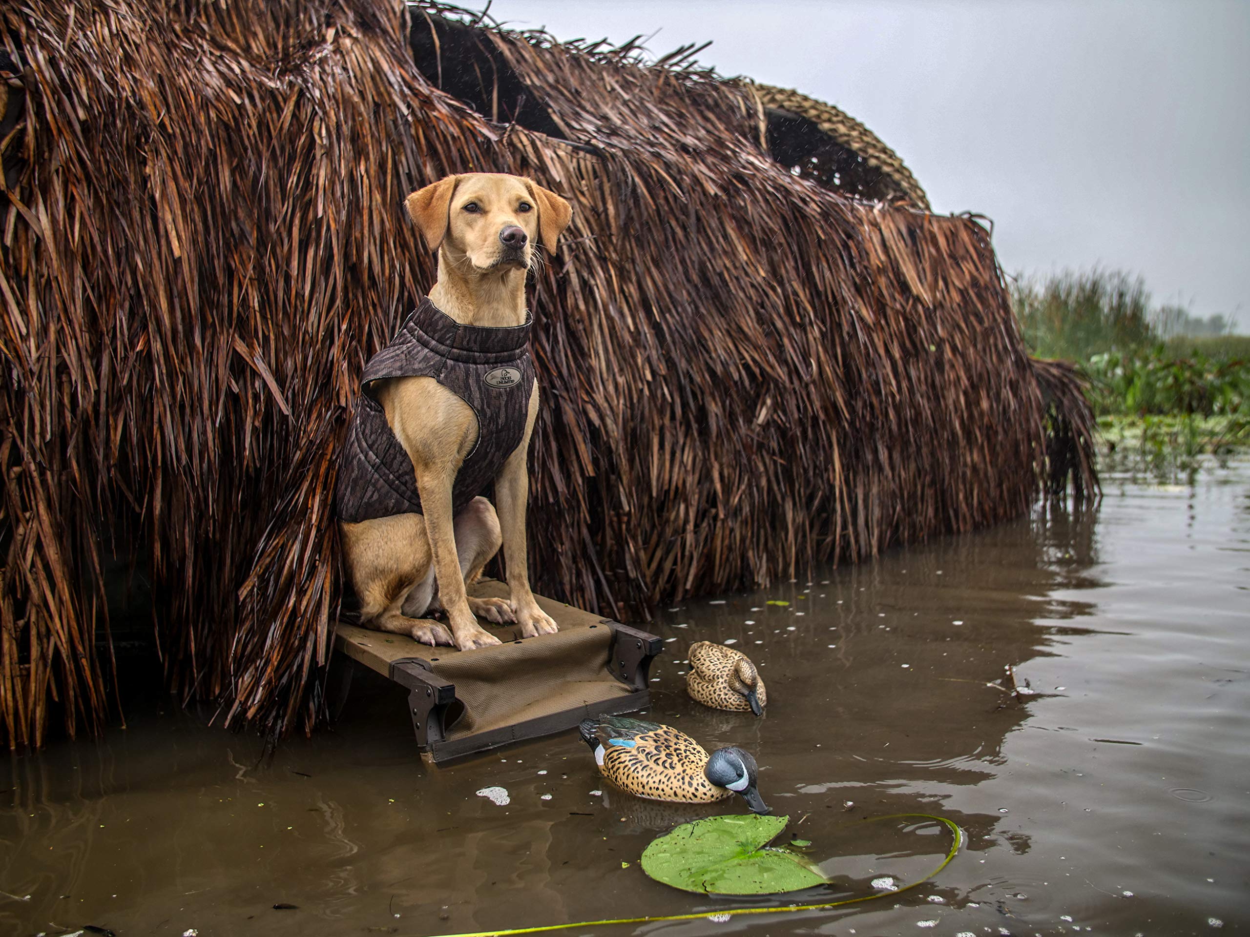 Flambeau Outdoors Storm Front 2 polymer construction delivers rugged field durability