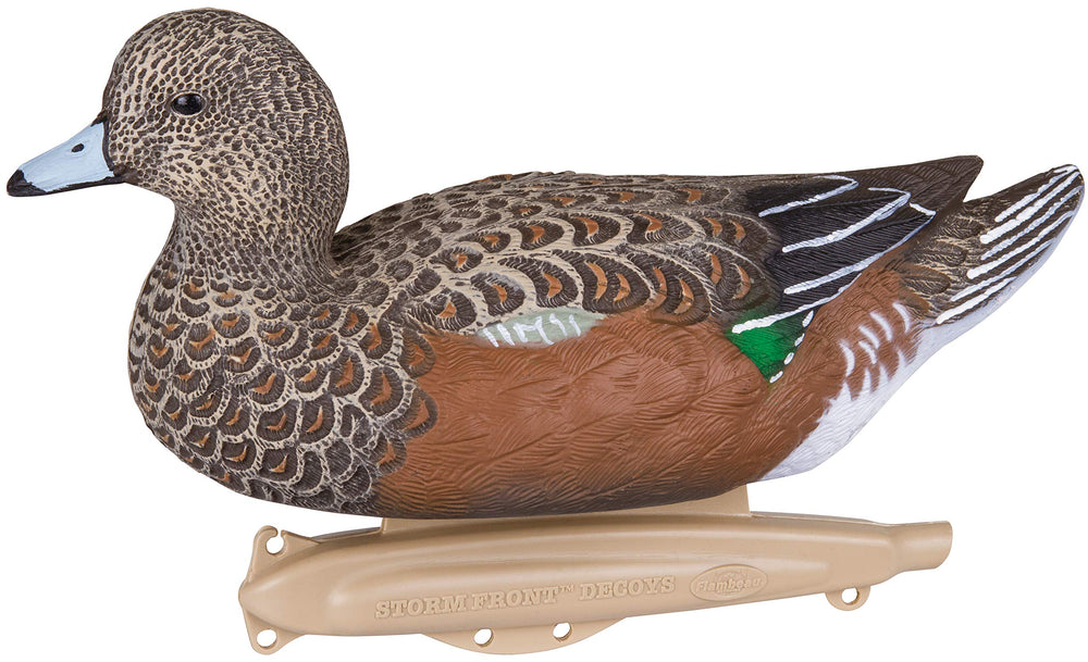 Flambeau Storm Front 2 Wigeon Drake on water showing lifelike buoyancy and posture.