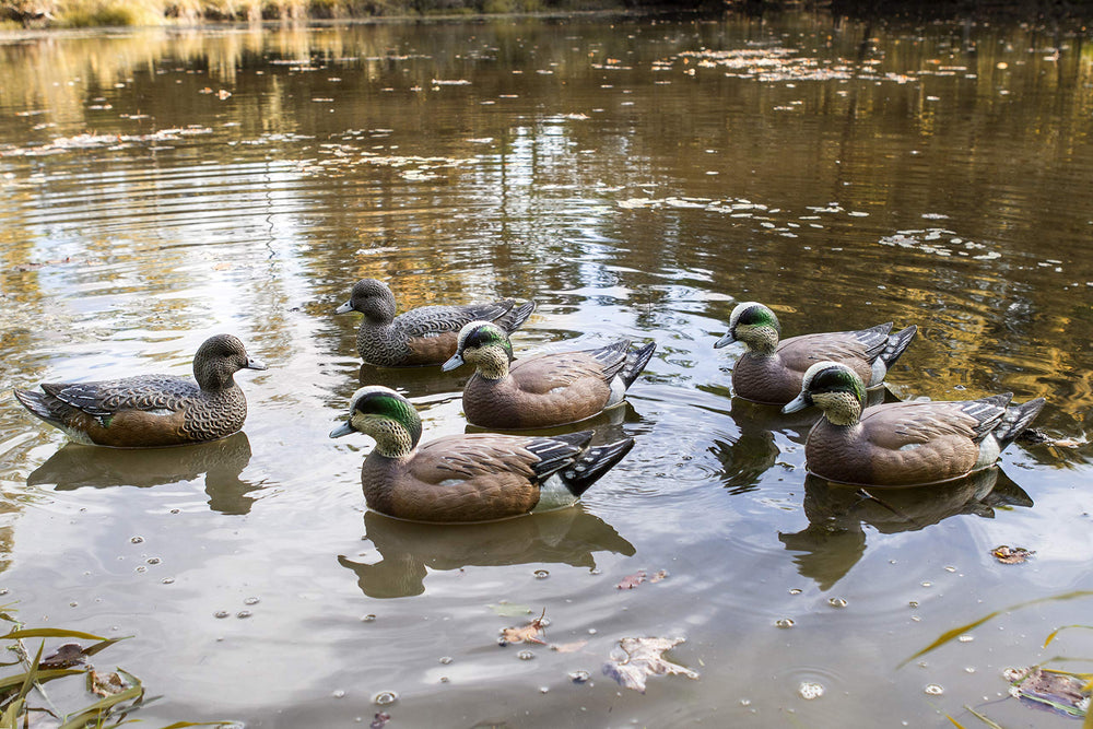 Flambeau Storm Front 2 Wigeon Hen on water with natural paint detailing.