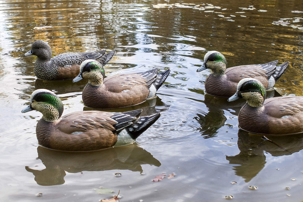 Flambeau Storm Front 2 Wigeon decoys close-up, highlighting detailed paint work and quality.