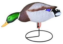 Flambeau Outdoors Storm Front 2 active hen decoy lifelike posture