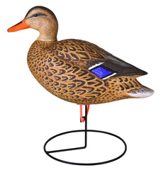 Flambeau Outdoors Storm Front 2 feeder hen decoy natural feeding pose