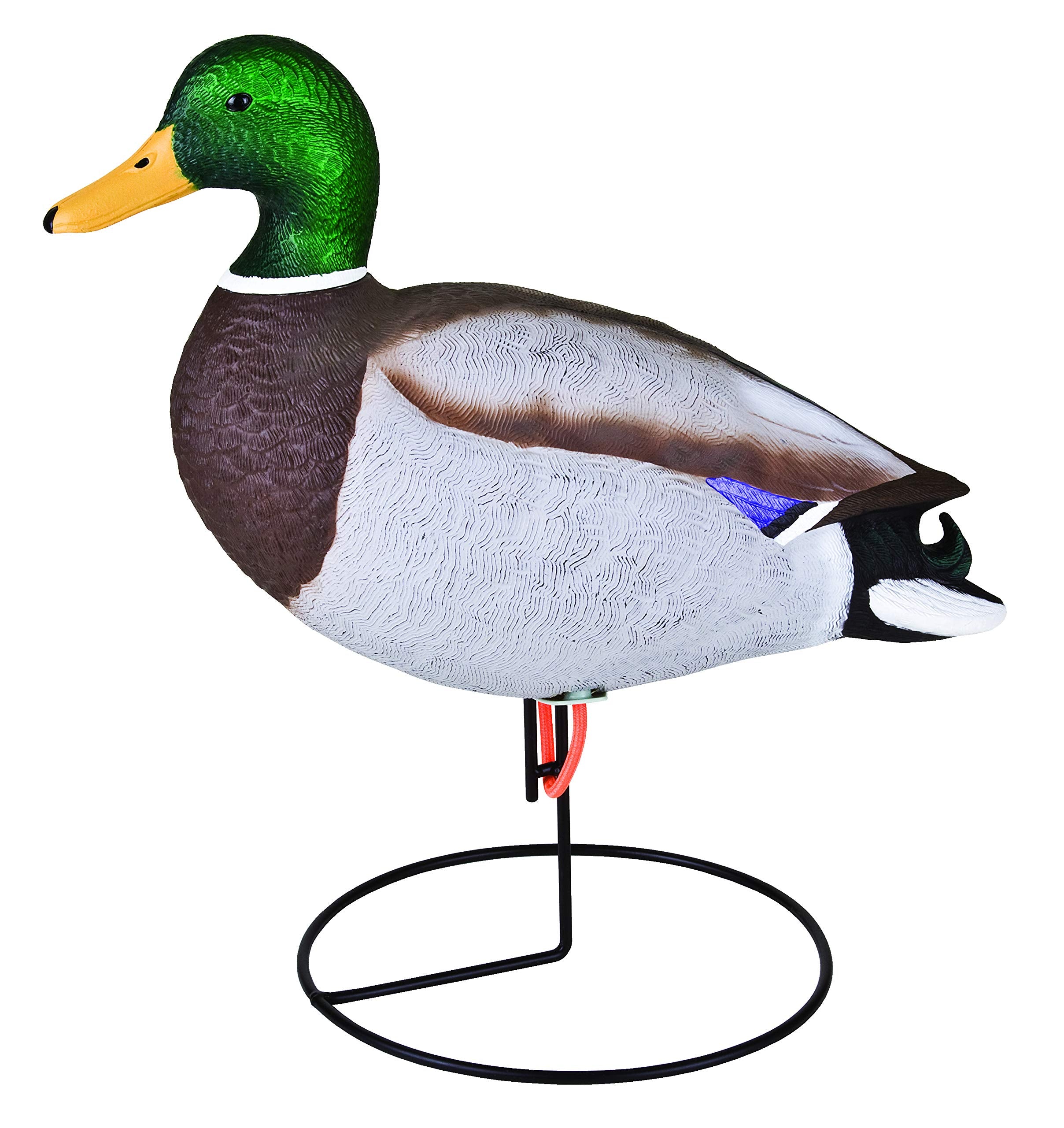 Flambeau Outdoors Storm Front 2 feeding drake decoy attracts ducks