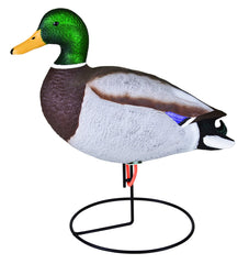 Flambeau Outdoors Storm Front 2 feeding drake decoy attracts ducks