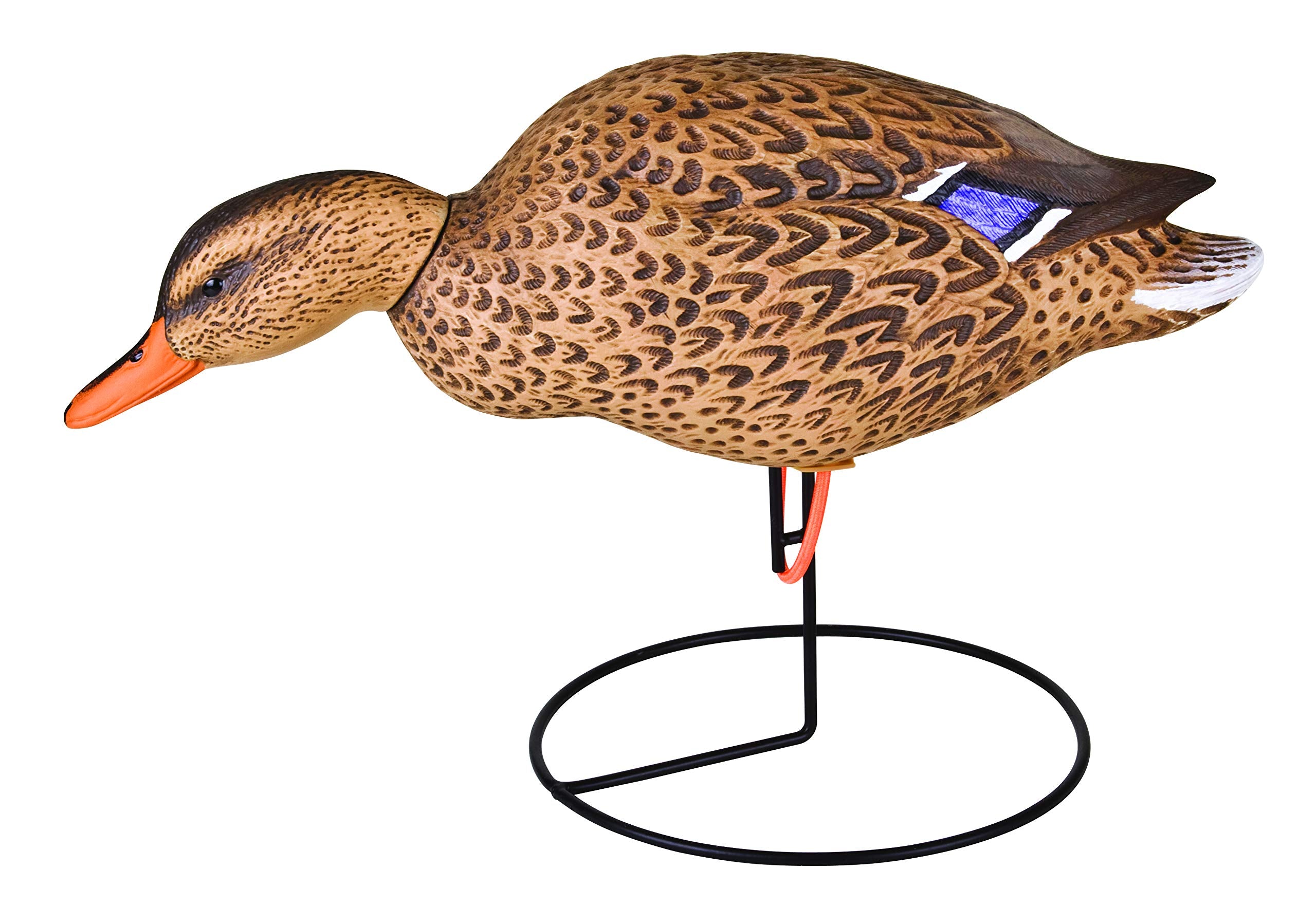Flambeau Outdoors Storm Front 2 rotatable head decoy for posing options