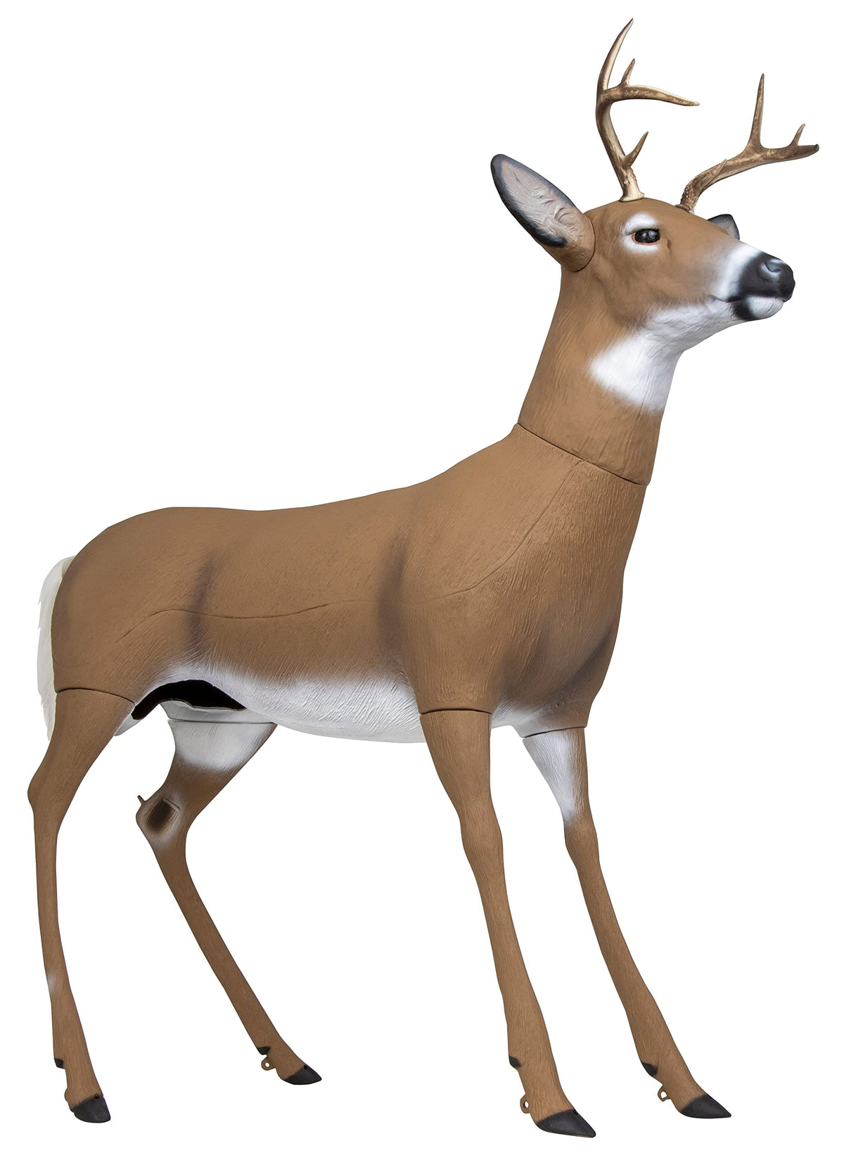 Flambeau Scrapper Buck front view to draw curious bucks effectively.