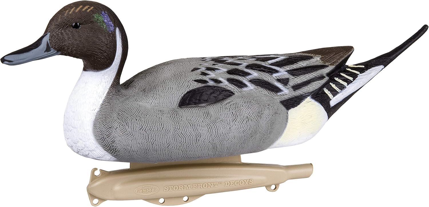Flambeau Storm Front Pintail hen decoy on water enhances spread realism
