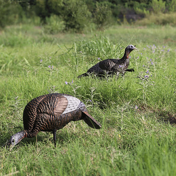Flextone Compact Easy-To-Carry Decoy for on-the-go hunts