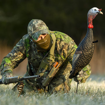 Flextone Funky Chicken setup with stake demonstrates quick field deployment