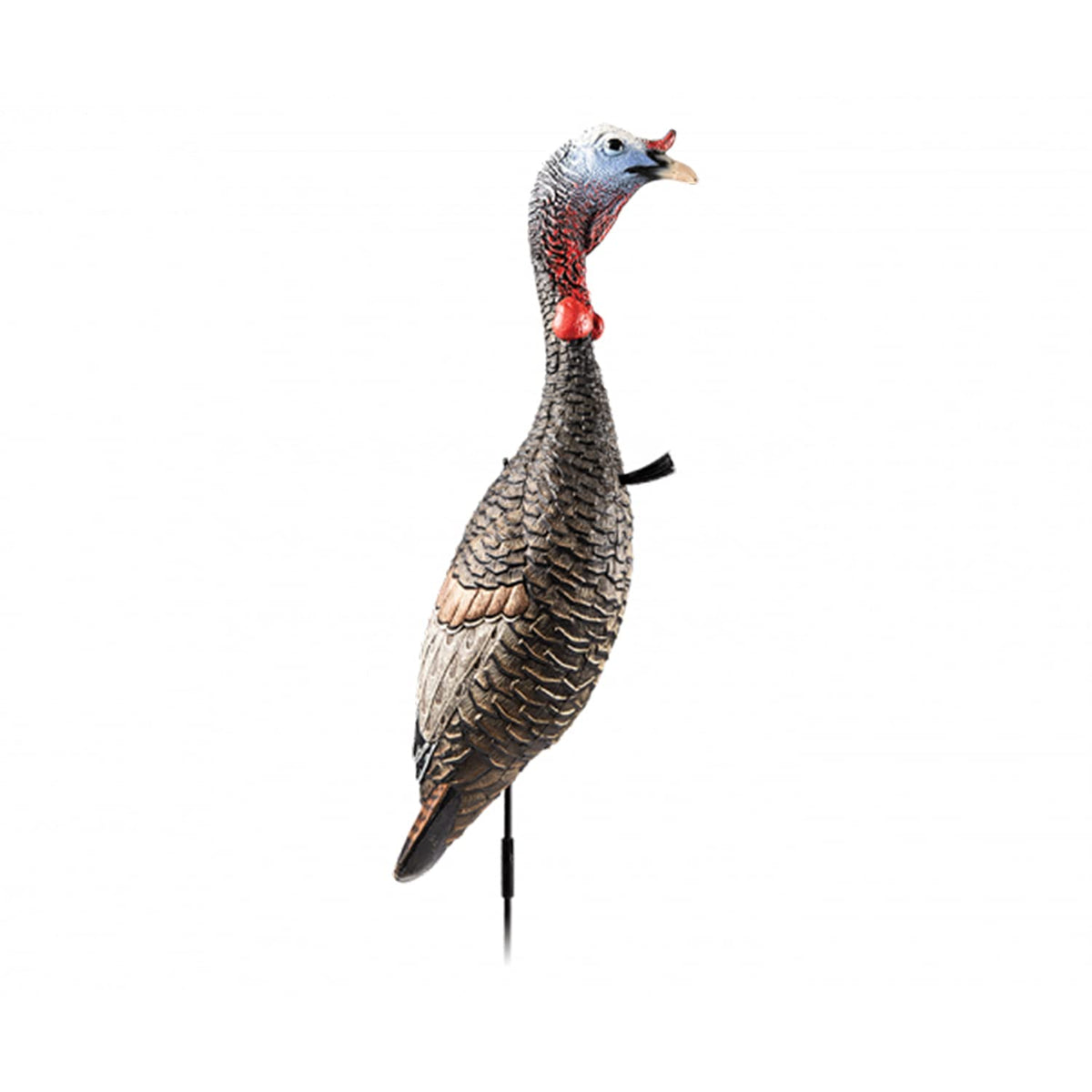 Flextone Funky Chicken decoy folded with stake ready for field setup to attract gobblers