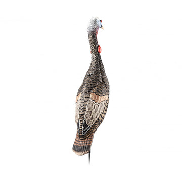 Flextone Funky Chicken decoy shows pre-attached beard for realistic silhouette