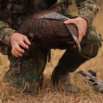 Flextone Realistic Paint Scheme enhances natural turkey interactions