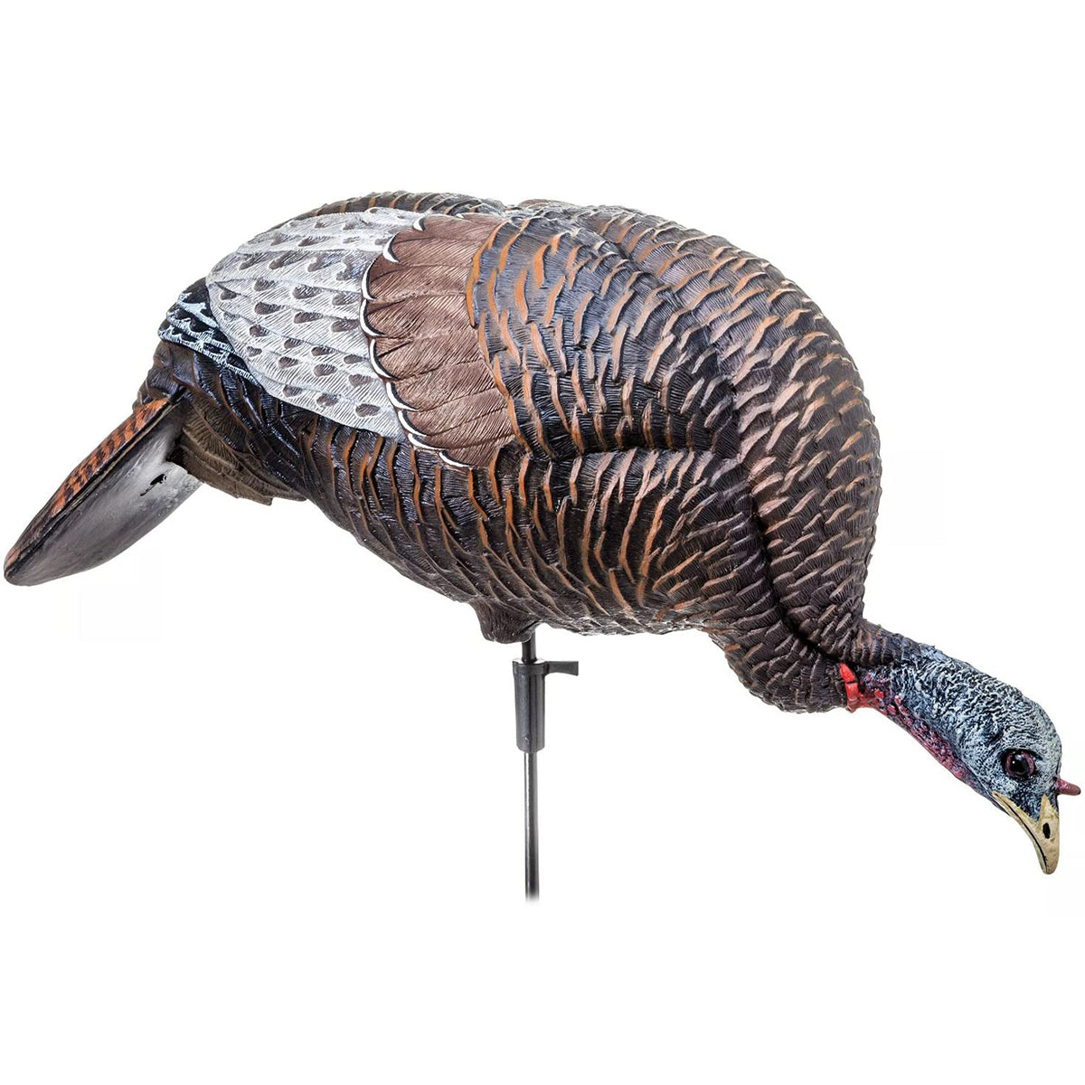Flextone Thunder Chicken Feeding Hen Decoy with feeding posture to attract turkeys