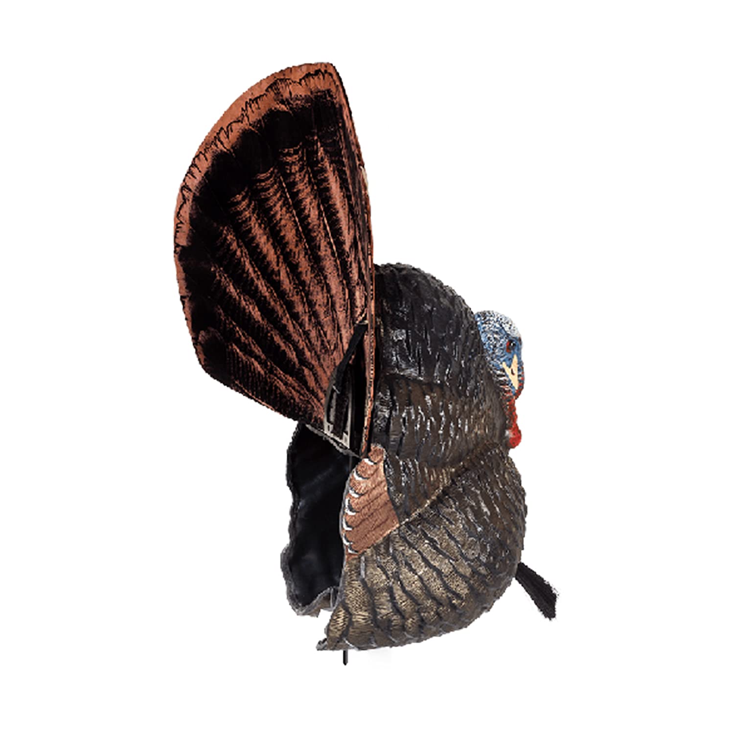 Flextone Thunder Creeper folding tail fan included adds realistic display.