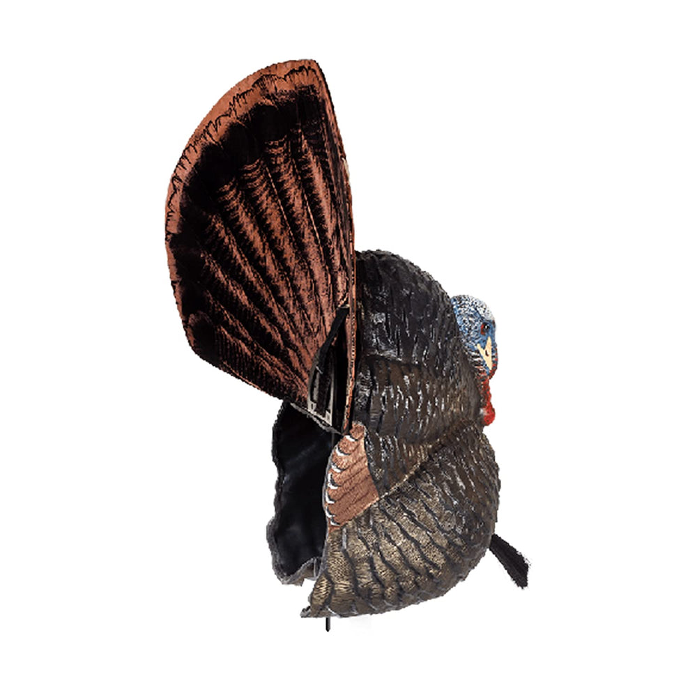 Flextone Thunder Creeper folding tail fan included adds realistic display.