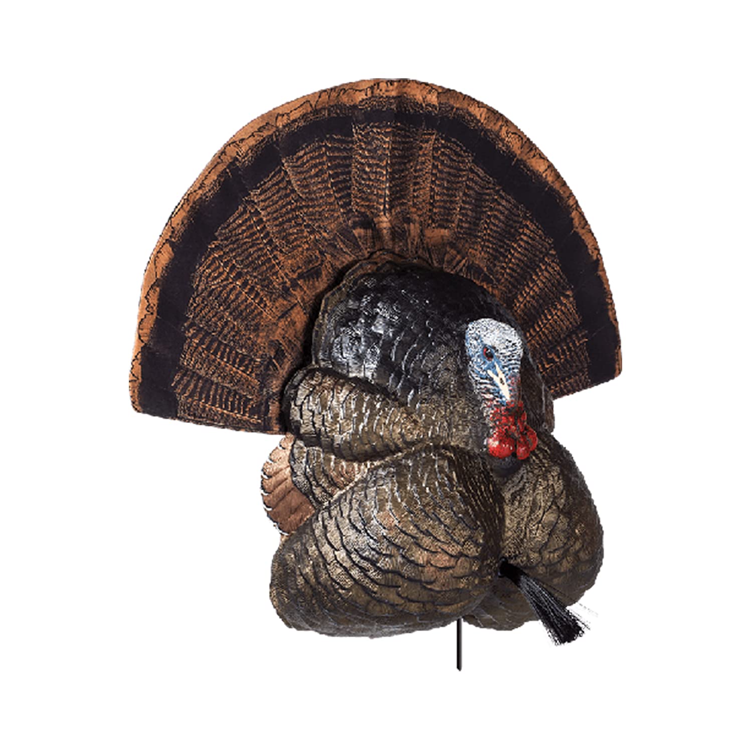 Flextone Thunder Creeper front view highlights lifelike detail to attract gobblers.