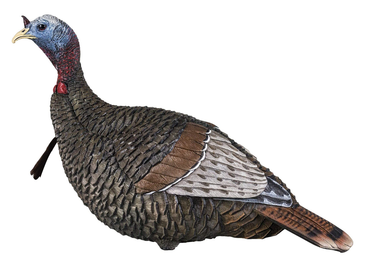 Flextone Thunder Jake turkey decoy in brown, lifelike posture to attract gobblers on hunts.