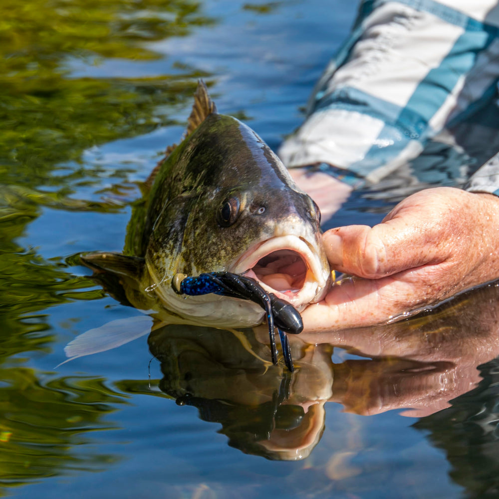 Floatzilla Craw Head Watermelon attached to a soft lure for quick setup.